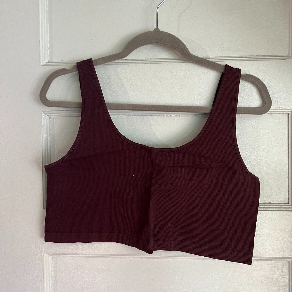 American Eagle Burgundy Crop Top